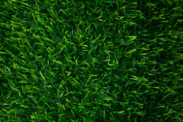 A close up of a green grassy field