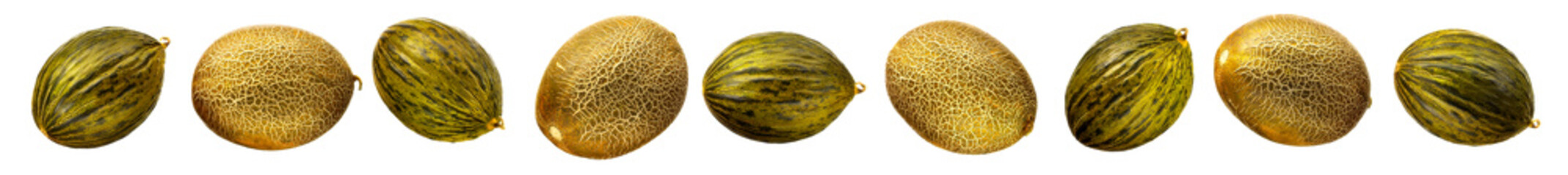 Melon isolated on white background. With clipping path