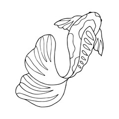 Black line graphics of fish. Outline illustration with sea animals. Hand drawn graphics. Undersea world. Ocean dwellers. Stylized linear minimalist sketch of children's coloring book in doodle style