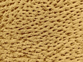 Summer sand texture of desert dune. Yellow sand texture for summer beach background. Sea beach golden sand texture in summer sun. Dune desert in island land. Seamless sandy beach tropical background