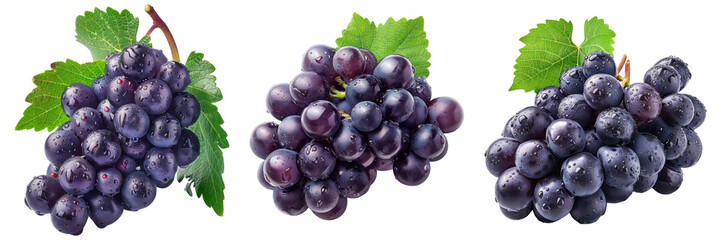 Fototapeta premium Fresh and vibrant clusters of purple grapes with green leaves, showcasing nature's bounty. Perfect for wine, healthy snacking, and cooking Transparent Background 