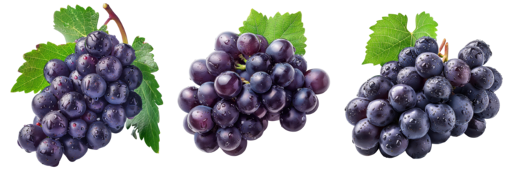 Fresh and vibrant clusters of purple grapes with green leaves, showcasing nature's bounty. Perfect for wine, healthy snacking, and cooking Transparent Background 