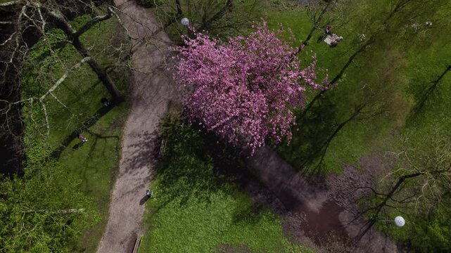 Aerial top down view of Oog in Al park in Utrecht, The Netherlands