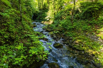 Source of the Kamachnik Stream in the Gorski Kotar region, Croatia