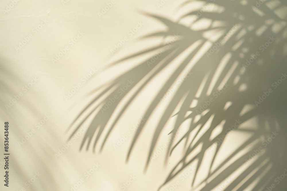 Poster palm leaves shadow falling on empty background for inserting your own objects or text