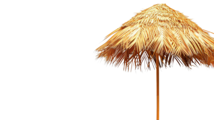 Beach coconut leaf umbrella parasol on white background