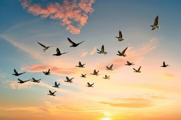 Obraz premium a colorful flock of migratory birds flying across a sunset sky