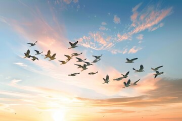 a colorful flock of migratory birds flying across a sunset sky