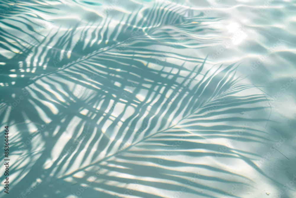 Poster palm tree leaves casting shadows on a turquoise water background creating a summery and relaxing atm