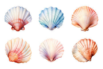 Fototapeta premium Seashell Collection Bundle Set Isolated on a Transparent Background