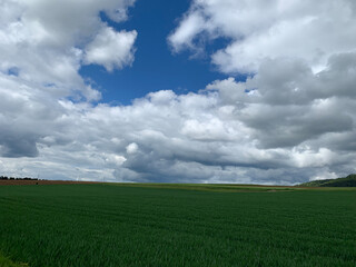 A vast green field stretches out under a bright blue sky dotted with puffy white clouds