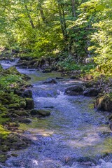 Source of the Kamachnik Stream in the Gorski Kotar region, Croatia