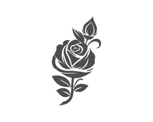 Obraz premium vector rose flower