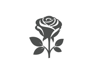 rose  flat silhouette vector design