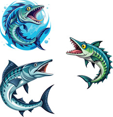 saltwater predator barracuda Web-
