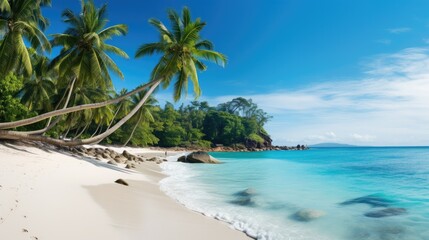 Fototapeta premium Photograph of a secluded tropical beach with white sand, turquoise water, and palm trees swaying in the breeze 