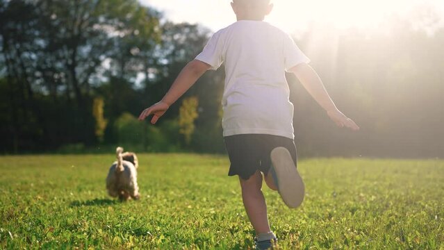 Child and dog is running on the grass. Happy pet fun concept. A dog is running around in a park with kids. A kid and a child are running on the grass near a lifestyle dog.