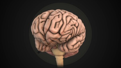 Anxious and depressed mind with a ticking clock