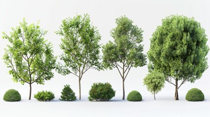 Various Green Trees and Bushes Collection Isolated on White Background, Generative AI