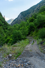 The earthen road goes up the mountain and leads into the forest between the rocks.