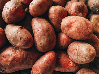 Raw red potato pile on farmer's market