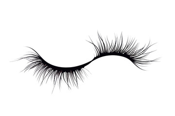 Close-up image of a single black false eyelash isolated on a white background, perfect for beauty and makeup concepts.