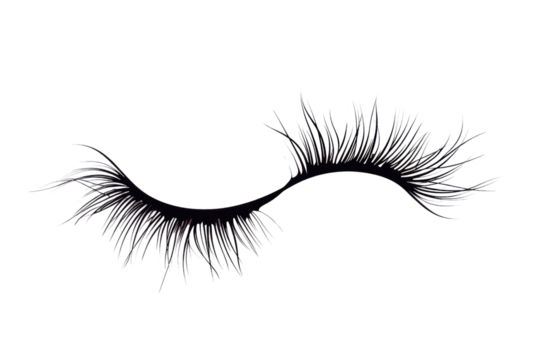 Close-up image of a single black false eyelash isolated on a white background, perfect for beauty and makeup concepts.