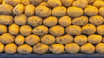 Large Pile of Big Potatoes With Dirt at Farmers Market