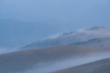 霧に包まれる高原　霧ヶ峰