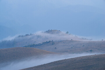 霧に包まれる高原　霧ヶ峰