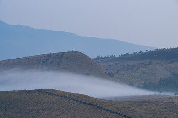 霧に包まれる高原　霧ヶ峰