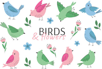 Colorful spring birds and flowers set. Vector birds in flat style.