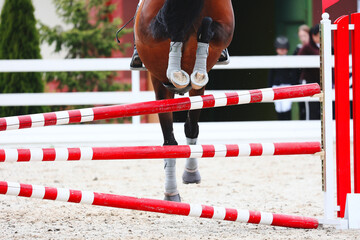 Horse hooves close-up. Equestrian Sports, Show Jumping themed photo. Macro. Bay horse jump and land