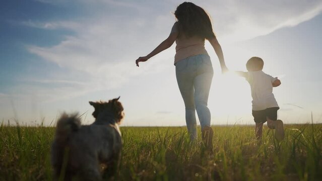 A mom and her son are running with their dog. Family happy pet concept. A mom and her dog are running with their child. A mom and her son are running with their lifestyle dog.