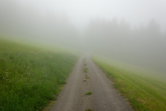 Gravel road in the fog . Schotterstra&szlig;e im Nebel