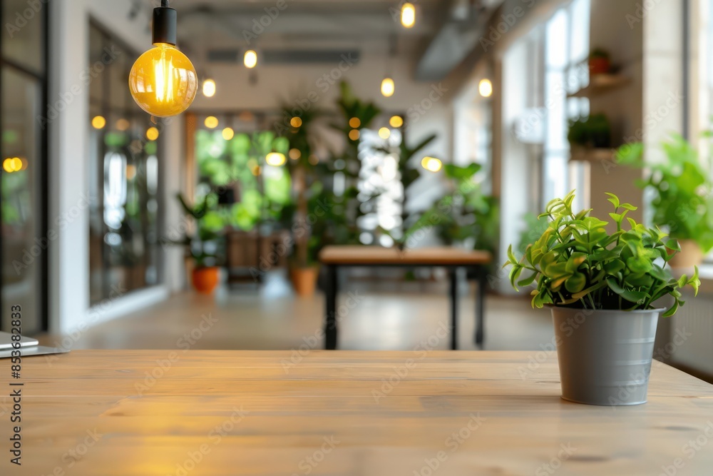Poster a table with a potted plant on it and a lamp above it