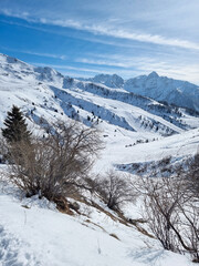 snow covered mountains