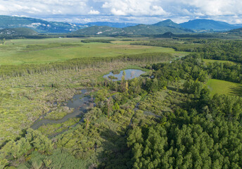 Le Marais de Lavours est une réserve naturelle nationale de 500 ha située au pied du massif du Grand Colombier, sur la commune de Ceyzérieu.