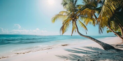 Vibrant Tropical Beach Panorama