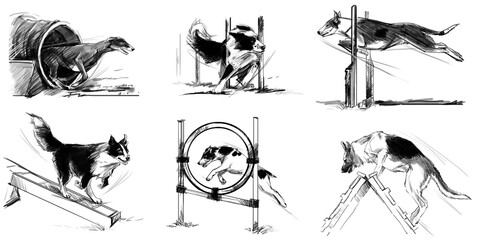 dogs graphic sketch set at agility sports competitions. agility sport for dogs