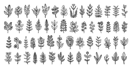 Fototapeta premium Doodle Style Different Herbs Icons Set. Hand Drawn Simple Style Black Icons on White Background. Culinary Herbs Medicinal Plants Herb Leaves Spices Kitchen Ingredients