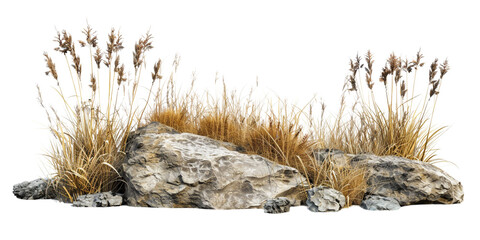 3d render of flat brown grasses with rocks isolated on white background