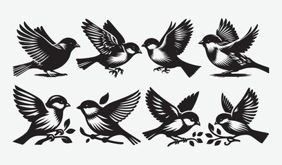 Obraz premium Birds Silhouette Vector Collection Hand drawn