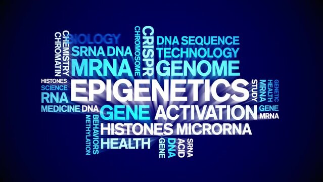 Epigenetics animated word cloud;text design animation tag kinetic typography seamless loop.