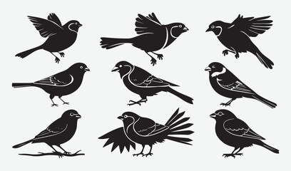 Birds Silhouette Vector Collection Hand drawn