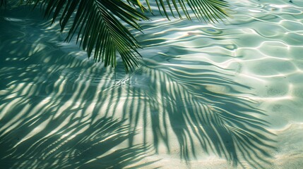 Serene Water Surface with Tropical Leaf Shadows