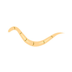 intestinal worm vector icon