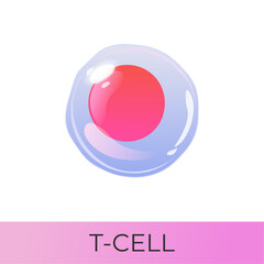 T cell. Lymphoid system cell. Isolated vector icon