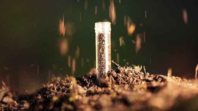 taking a soil sample for a soil test in a field. Testing carbon sequestration and plant health	