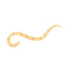 intestinal worm vector icon